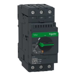 Guardamotor GV3P65 Schneider Electric