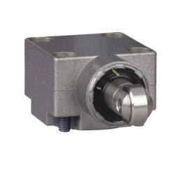 Interruptor ZCKE65 Schneider Electric