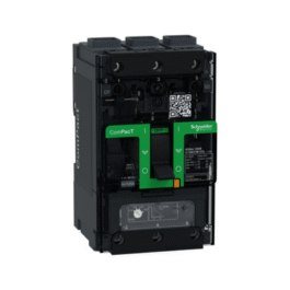 Interruptor C12B3TM125L Schneider Electric