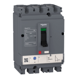 Interruptor LV516302 Schneider Electric